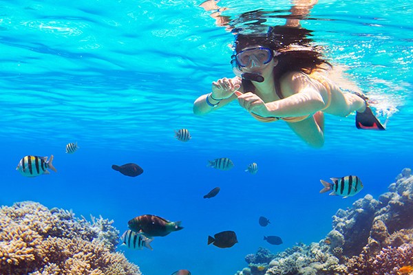 Snorkeling in Hurghada