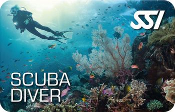 Scuba Diver Kurs